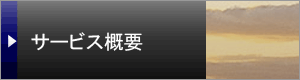 サービス概要
